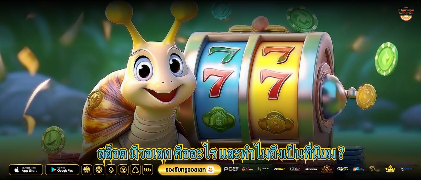 สล็อต มีวอเลท คืออะไร และทำไมถึงเป็นที่นิยม ?